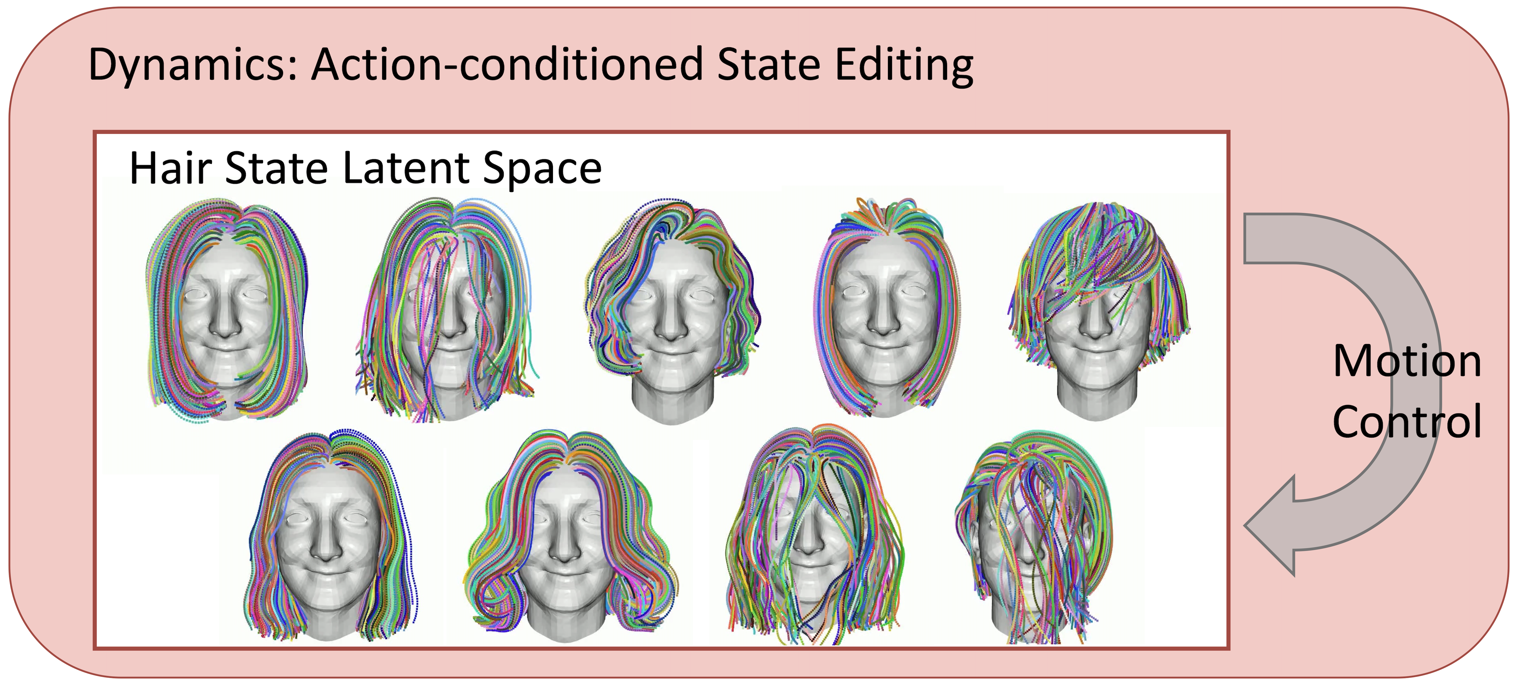 Hair Dynamics Model Overview